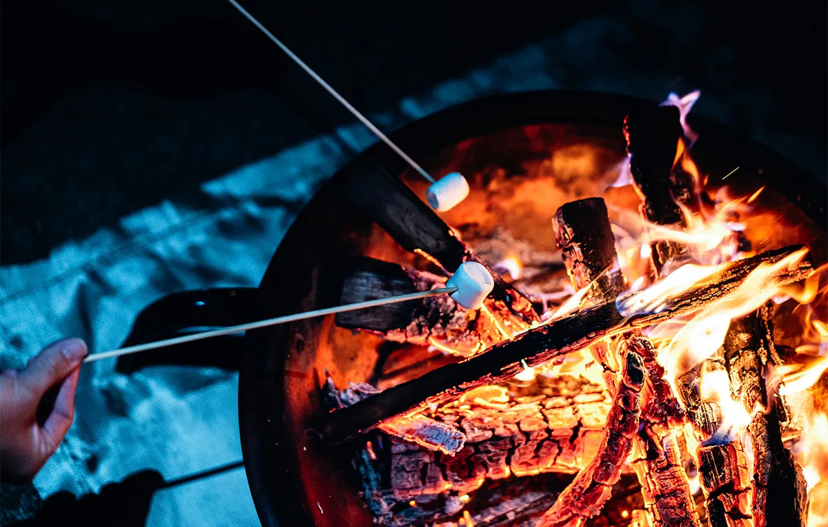 期間限定 全品半額